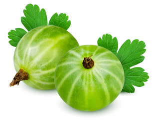 Isolated gooseberry. Two green gooseberries with leaf isolated on white background with clipping path
