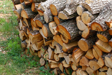 Stack of logs in the countryside. Selective focus.