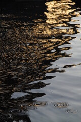 ripples on the water