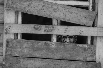 Frightening child in a terrible monster mask peeks out of an old dirty window in village