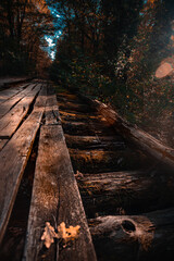 Naklejka premium A train on a train track with trees in the background