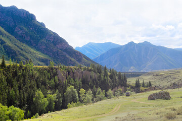 Wonderful mountain landscape with blue sky. Altai Republic, Russia. High green mountains and clean health air