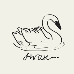 Swan Vector drawing, Eps 10