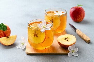 Homemade fermented kombucha or cider in glasses with a slice of apple on light gray stone table. A healthy probiotic kombucha refreshing drink. Copy space.