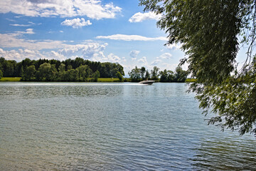 river and boat in the forest