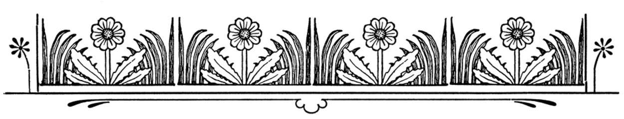 Abstract ornament, chapter separator in a book. Illustration of the 19th century. White background.