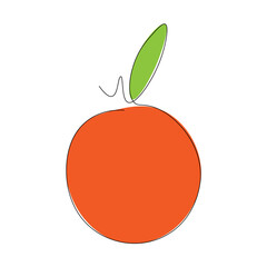 Orange fruit on white background, vector illustration