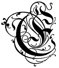 Capitalized letter E, stylized in floral ornament. Illustration of the 19th century. White background.