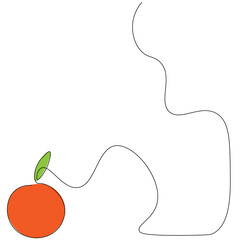 Orange fruit on white background, vector illustration