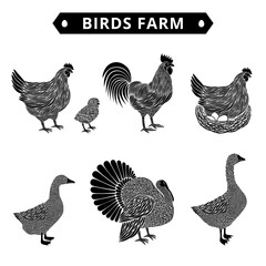 Birds farm - obrazy, fototapety, plakaty