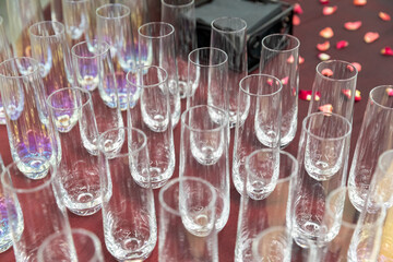 Champaign Glasses