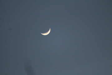 moon in the sky