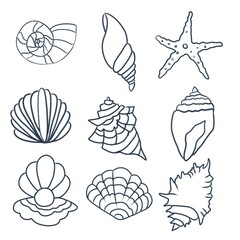 marine: white with blue contour shells on a white background