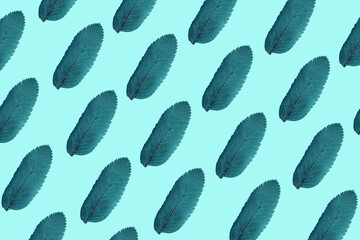 Pattern of leaves on a blue background. Natural background concept. Flat lay, minimalism.
