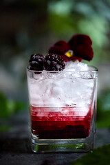 Fresh summer drink. A delicious cocktail based on gin, blackberry and mint. Garnish with flowers, pansies
