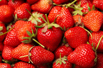 Tasty red strawberry on whole background, close up. Summer berry