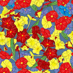 Bright floral seamless pattern. Summer background with colored phloxes. Botanical illustration, hand-drawing. Design for textiles, fabrics, wallpapers, home decoration, packaging,