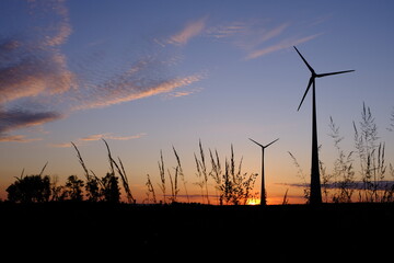 Silhouette von Windkrafträdern im Sonnenaufgang