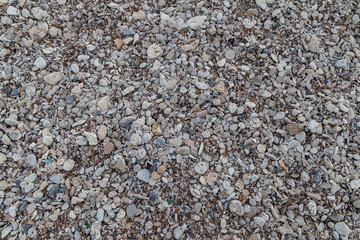 Pebbles are on the seashore