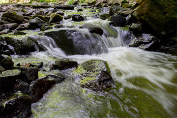 Fototapeta premium Jungle landscape with small waterfall, hidden in forest