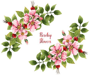 Rosehip flowers, watercolor illustration,spring flowers, leaves, buds, berries, flowers,card for you,handmade
