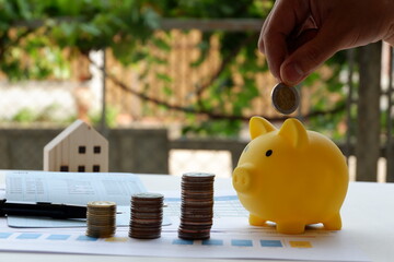 Inserting a coin into a piggy bank , Hand puts a coin in the piggy bank on nature background