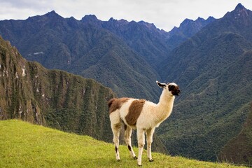 Machu Picchu - Lost Incas city in Peru, South America © Lucie