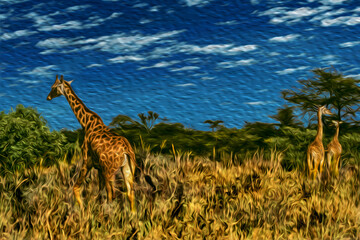 Giraffes in the thicket at the Ngorongoro conservation area. A park for the wildlife protection located on a large volcanic crater in the African savanna of Tanzania. Oil paint filter.
