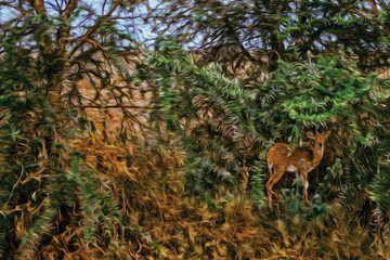 Naklejka na ściany i meble Gazelle hidden in the green bush on the Serengeti National Park. A conservation area in the African savanna where several species of large mammals live. Oil paint filter.