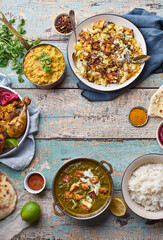 Indian cuisine dinner: tandoori chicken, biryani