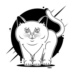 Cat face design vector on white background, pet.