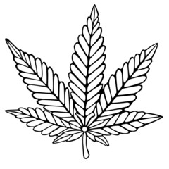 Cannabis Pflanze gezeichnet per Hand. Grafik als veränderbare Vektor-Datei. Verwendbar für Karten, Poster, Firmenlogo, etc. 