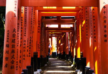 Torii Gates at Fushimi Inari-taisha, Fushimi-ku, Kyoto, Japan