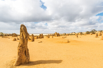 The Pinnacles Desert (Nambung National Park, Cervantes, Western Australia). Giant limestone pillars. Vast yellow desert landscape