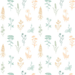 Hand drawn wild flowers seamless pattern. Painting in pastel colors. Modern colored design for clothes and textile print, wrapping paper, wallpaper