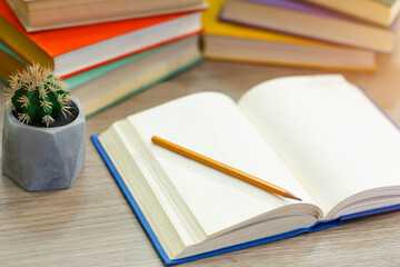 Close up of open book with pen and cactus