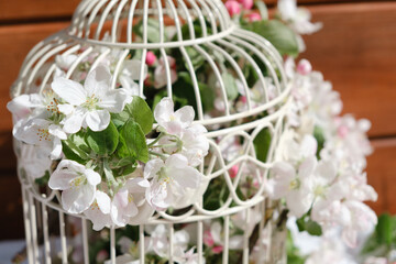 Spring flowers of apple tree branches decorate the interior of the house in a cage