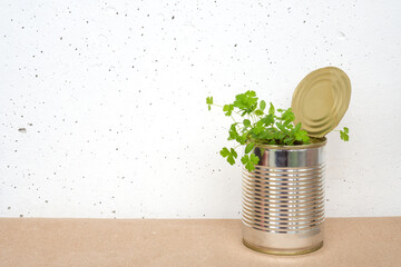 Parsley sprouts in tin can on craft brown paper on white concrete wall background. Growing micro greens at home