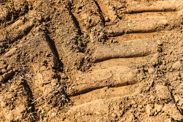 Tractor trail on the ground, close up. 