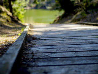 wooden boardwalk near the lake