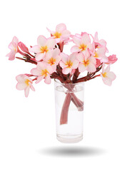 Beautiful  pink  tropical Plumeria flower isolated on white background. This has clipping path. © Sanit