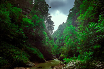 A large waterfall in a forest