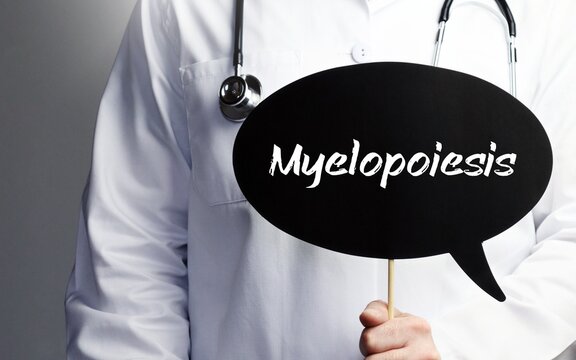 Myelopoiesis. Doctor with stethoscope holds speech bubble in hand. Text is on the sign. Healthcare, medicine