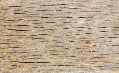 rough brown wood texture