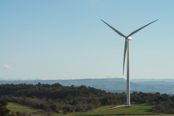 molino d viento en campo de trigo durante el invierno