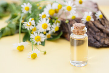 Obraz na płótnie Canvas Tincture or essence of chamomile flowers. Natural cosmetic. Mini bottle with liquid on a background of daisies