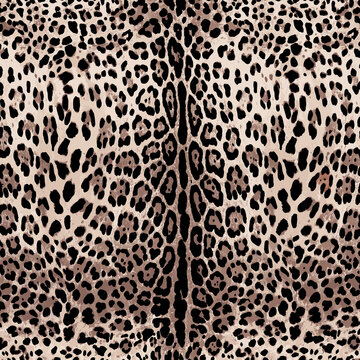 leopard skin texture