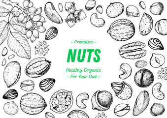 Nuts collection hand drawn sketch. Pistachios, walnut, hazelnut, almond, cashew, pecan nuts vector illustration. Organic healthy food. Great for packaging design. Engraved style. Black and white color