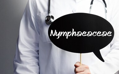 Nymphaeaceae. Doctor with stethoscope holds speech bubble in hand. Text is on the sign. Healthcare, medicine