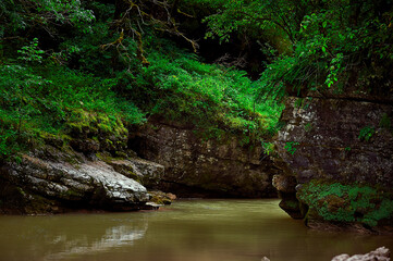 Naklejka na ściany i meble A waterfall with trees on the side of a river